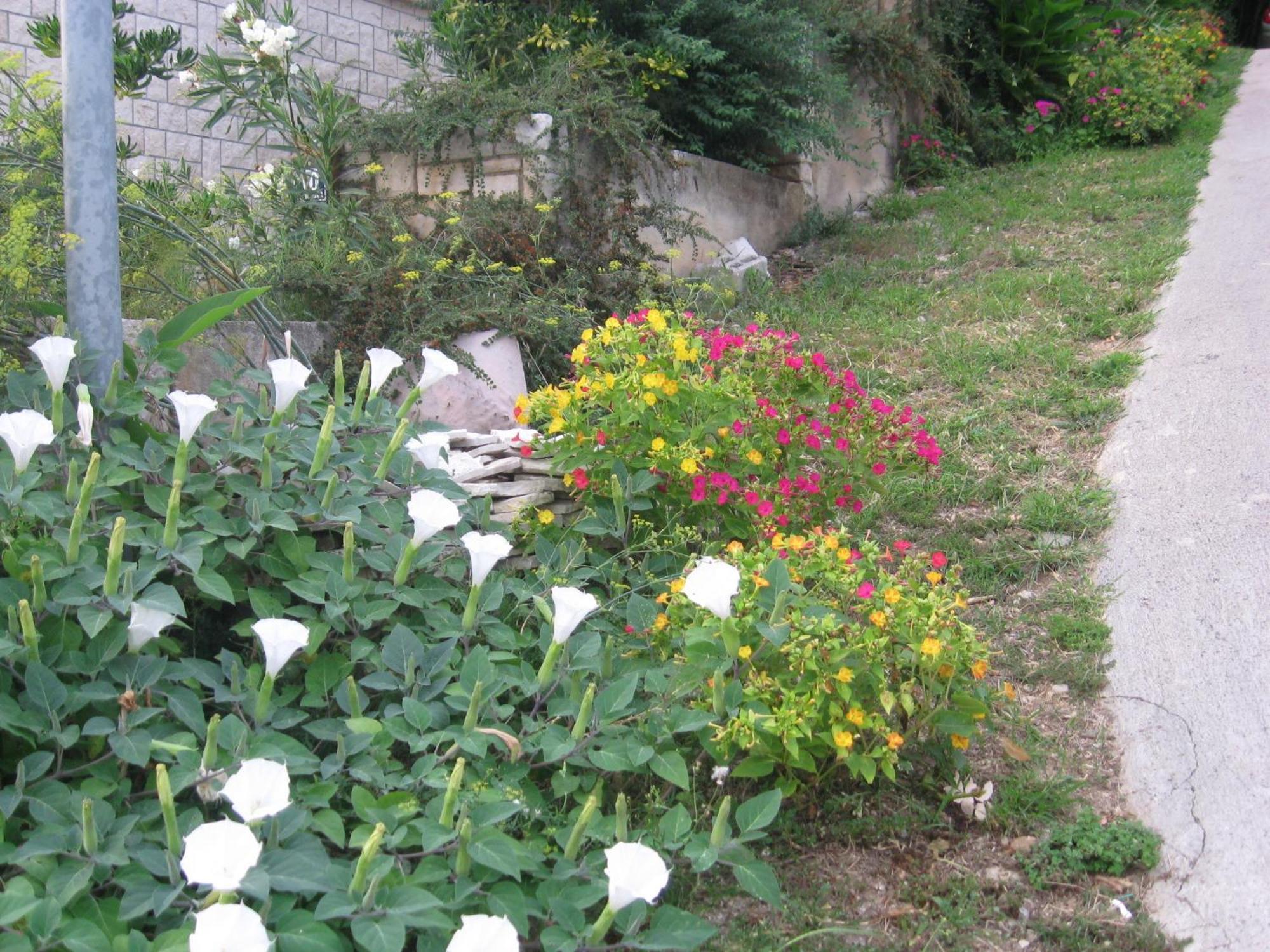 Apartments Silmare Rabac Rom bilde